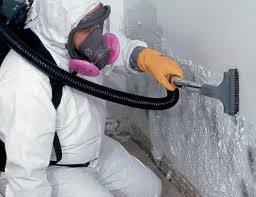 Reynolds Heights, PA Mold Prevention & Removal  Company